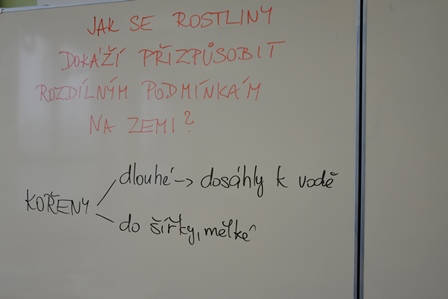 2017_03_23_co_dokáže_kytka_2_co_vím_03