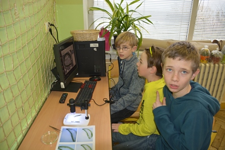 2017_03_23_co_dokáže_kytka_5_pokusy_14